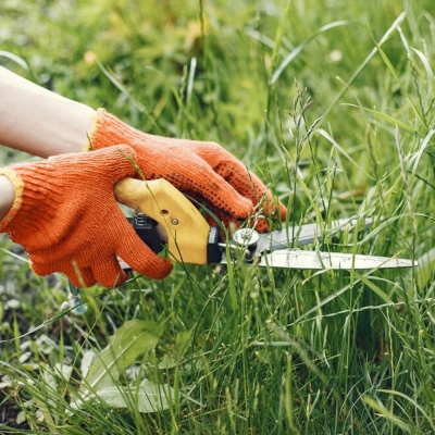 Lorem Ipsum is simply dummy text