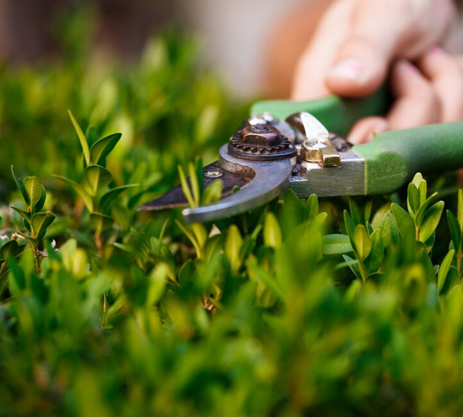 Über ZAM HAUSMEISTER